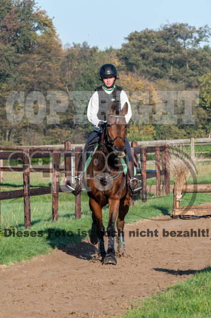 Vielseitigkeitslehrgang mit Jürg Kurbel (9.+10.11.2019)