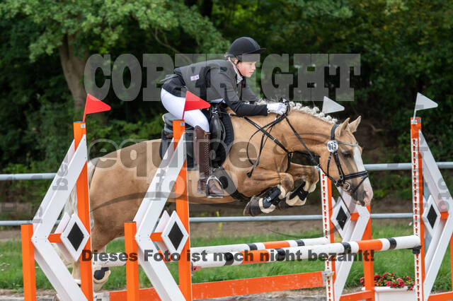 Late-Entry-Vielseitigkeit Langenfeld (06.+07.07.2020)