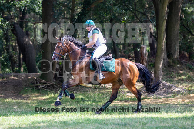 Late-Entry Vielseitigkeit Hamminkeln/Wesel (01.+02.08.2020)