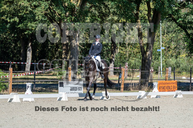 Kronenberg - De Peelbergen (August 2020)