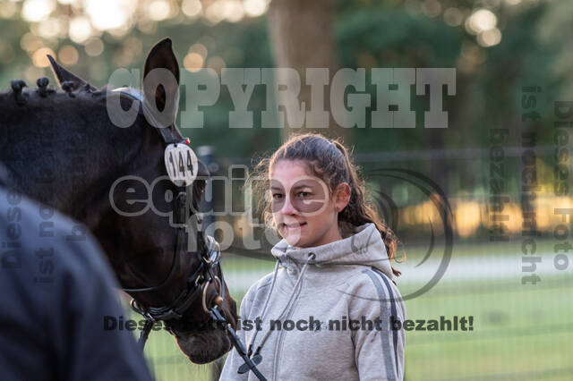 Deutsche Meisterschaft Vielseitigkeit (Luhmühlen)