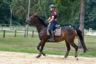 Hunter Geländetraining 10.07.2021 (Sonsbeck)