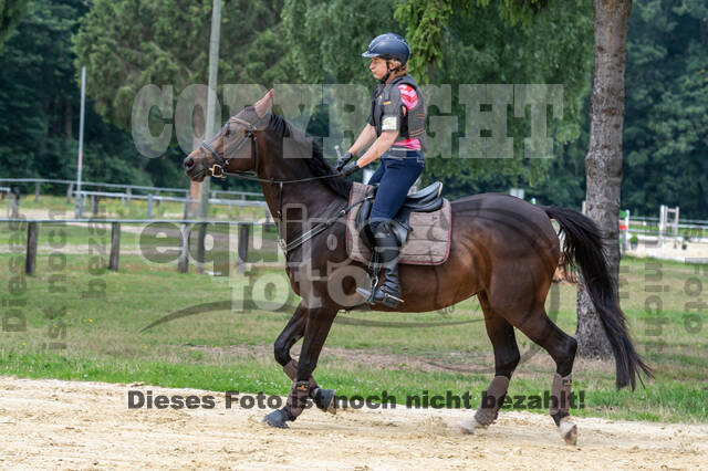 Hunter Geländetraining 10.07.2021 (Sonsbeck)
