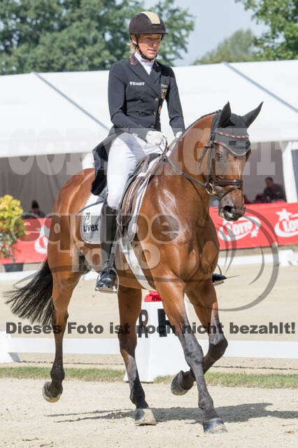 FEI European Championship Eventing 2017