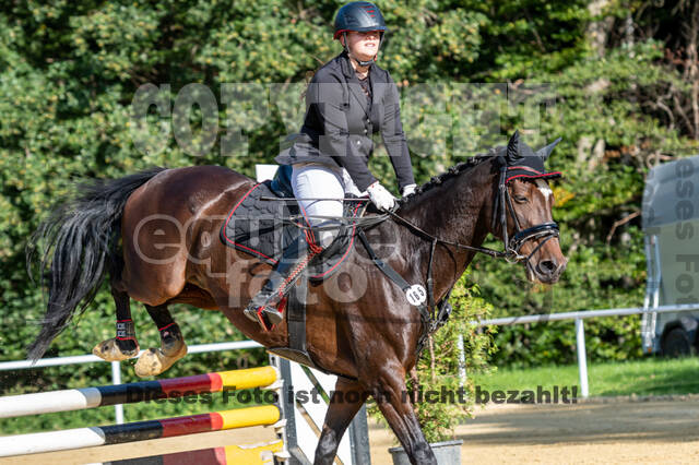 RFV Dinslaken-Hiesfeld (Herbstturnier)
