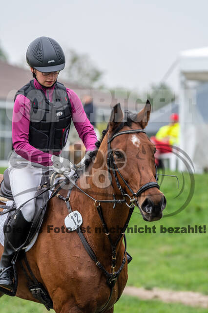 Goldene Schärpe 2020 - Pferde