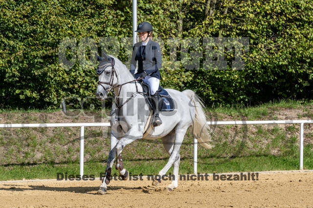 RFV Dinslaken-Hiesfeld (Herbstturnier)