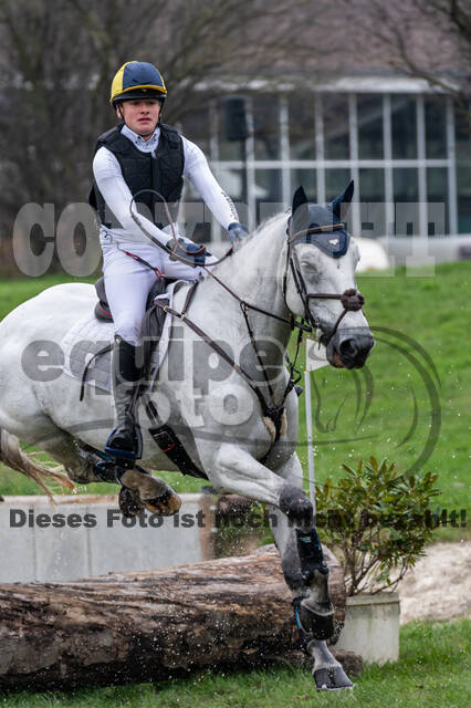 Goldene Schärpe 2020 - Pferde