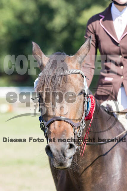 Vielseitigkeitsturnier RSV St. Hubertus Wesel Obrighoven