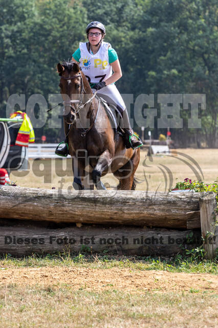Late-Entry Vielseitigkeit Hamminkeln/Wesel (01.+02.08.2020)
