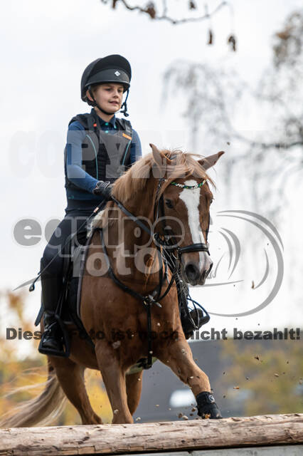 IGV Lehrgang der Sieger der Cups mit Frank Ostholt