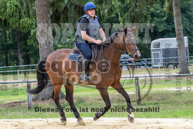 Hunter Geländetraining 10.07.2021 (Sonsbeck)