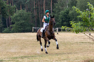 Late-Entry Vielseitigkeit Hamminkeln/Wesel (01.+02.08.2020)