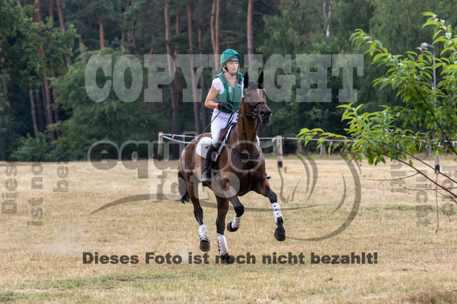 Late-Entry Vielseitigkeit Hamminkeln/Wesel (01.+02.08.2020)