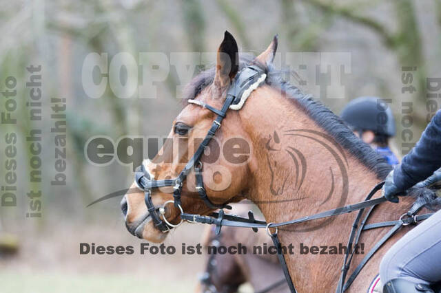 Geländetraining RSV St. Hubertus Wesel Obrighoven
