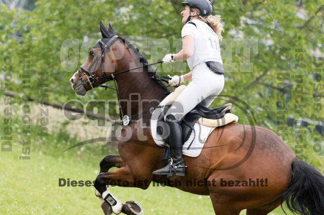 Vielseitigkeitsturnier ZRFV von Lützow Hamminkeln