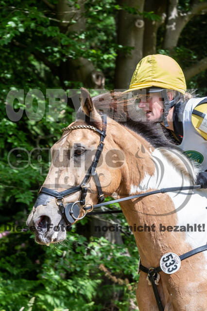 Westerstede Horse Trials 2021