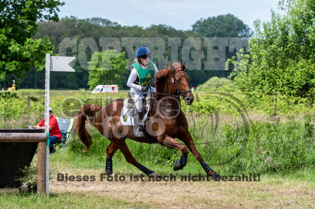 Westerstede Horse Trials (10.-13.06.2021)