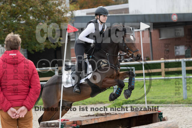 IGV Lehrgang der Sieger der Cups mit Frank Ostholt
