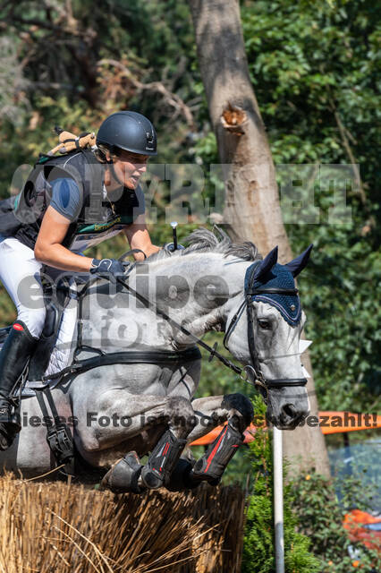 De Peelbergen (August 2020)