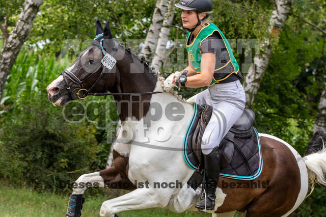 Late-Entry-Vielseitigkeit Gahlen (18.07.2020)