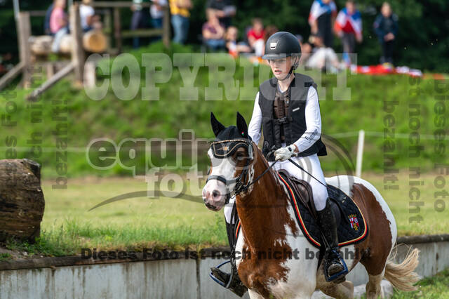 Goldene Schärpe 2021 - Ponys