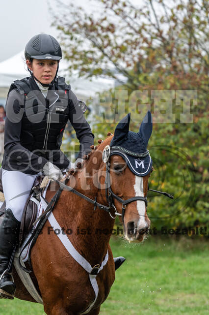 Goldene Schärpe 2020 - Pferde