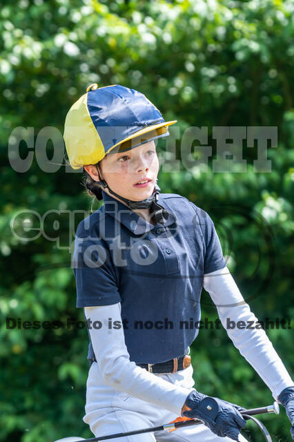 Goldene Schärpe 2021 - Ponys