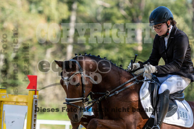 RFV Dinslaken-Hiesfeld (Herbstturnier)