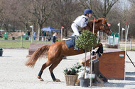 Eventing Langenfeld