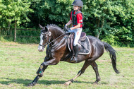 Goldene Schärpe 2021 - Ponys