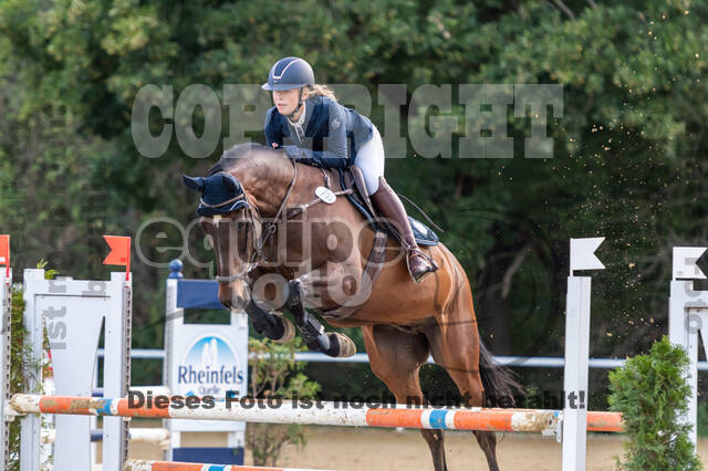 RFV Dinslaken-Hiesfeld (Herbstturnier)