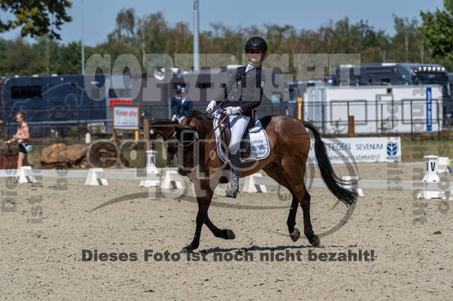 Kronenberg - De Peelbergen (August 2020)