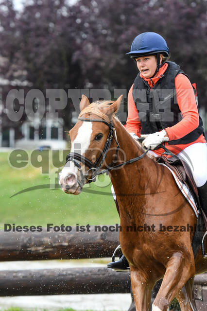 Late-Entry-Vielseitigkeit Langenfeld (11.+13./14.06.2020)