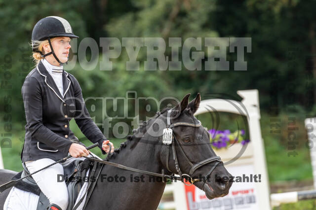 Vielseitigkeit RSV Wesel Obrighoven (26.+27.09.2020)