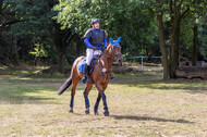 Late-Entry Vielseitigkeit Hamminkeln/Wesel (01.+02.08.2020)