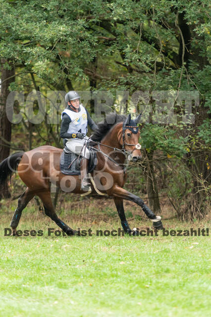 Vielseitigkeit RSV Wesel Obrighoven (26.+27.09.2020)