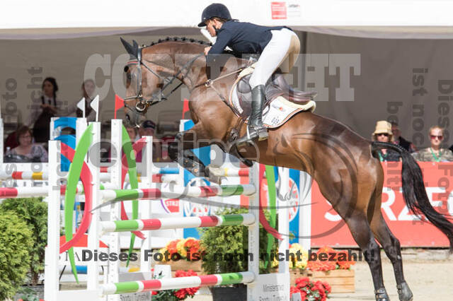 FEI European Championship Eventing 2017