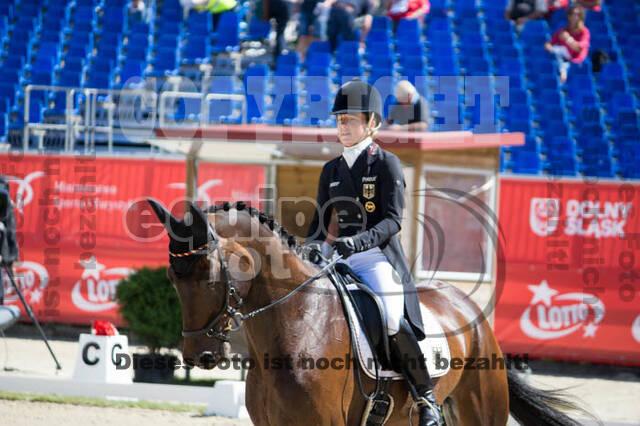 FEI European Championship Eventing 2017