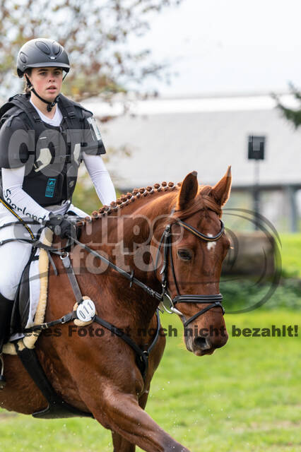 Goldene Schärpe 2020 - Pferde