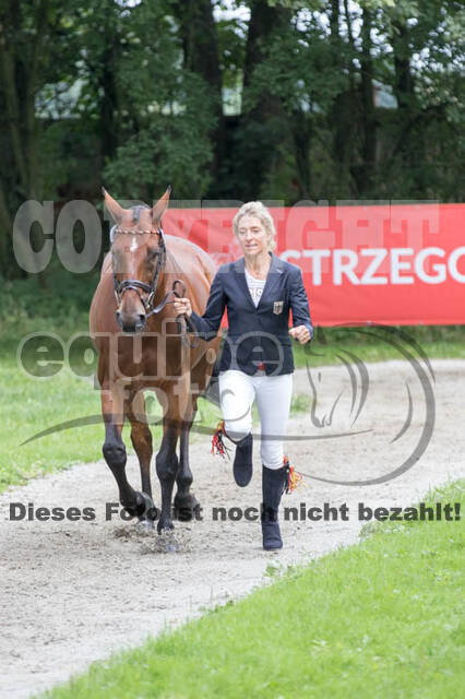FEI European Championship Eventing 2017