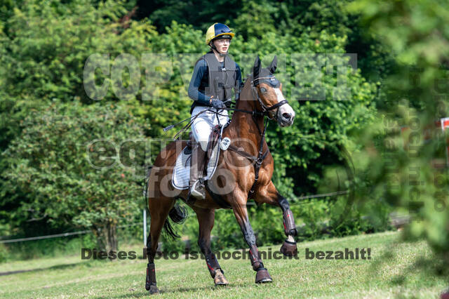 Goldene Schärpe 2021 - Ponys