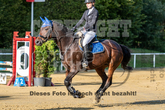 RFV Dinslaken-Hiesfeld (Herbstturnier)
