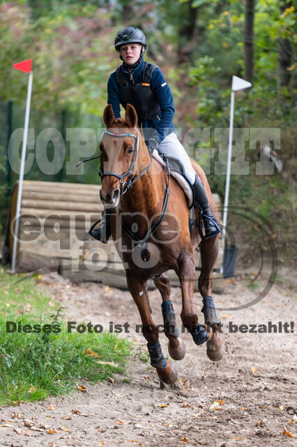 Goldene Schärpe 2020 - Pferde