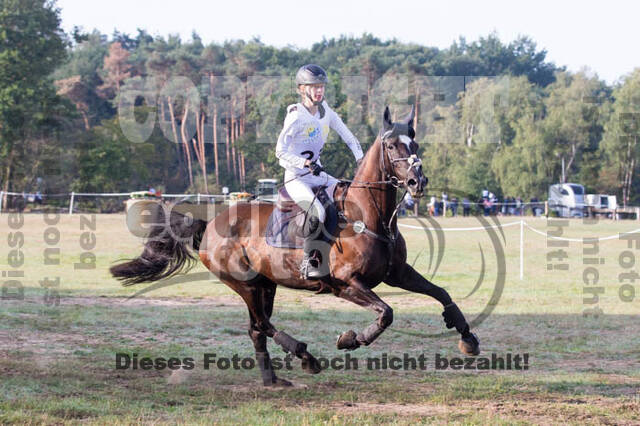 Vielseitigkeitsturnier RSV St. Hubertus Wesel Obrighoven