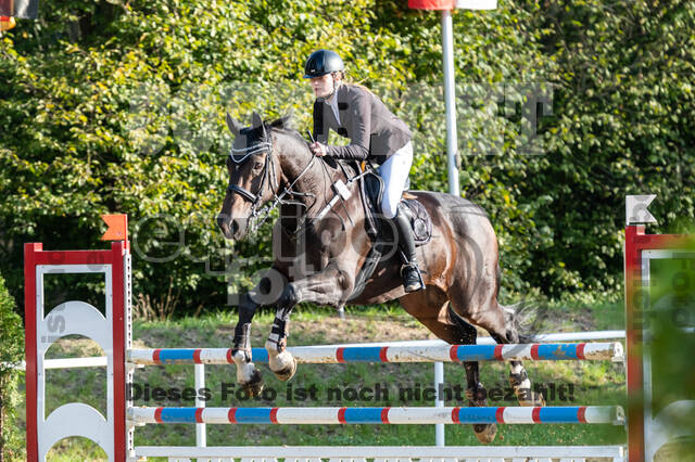 RFV Dinslaken-Hiesfeld (Herbstturnier)