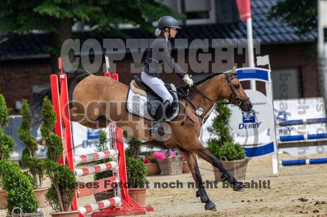 Goldene Schärpe 2021 - Ponys