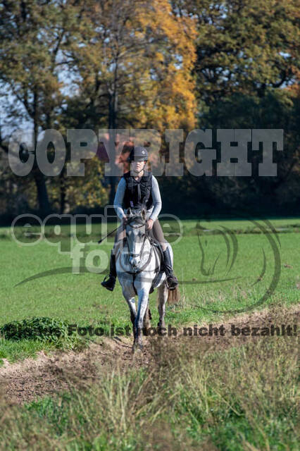 Vielseitigkeitslehrgang mit Jürg Kurbel (9.+10.11.2019)