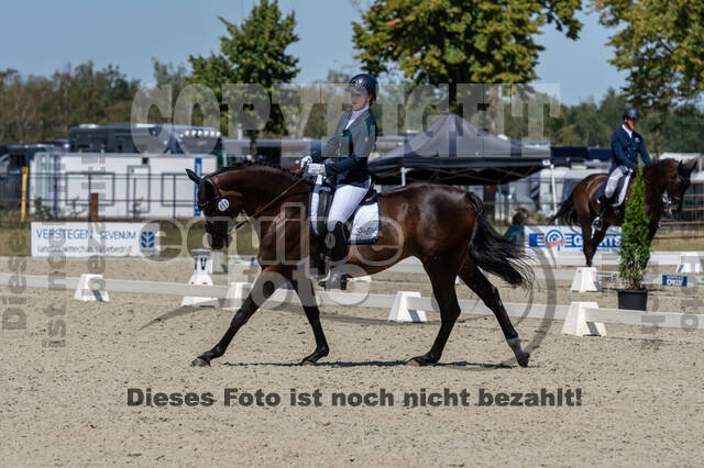 Kronenberg - De Peelbergen (August 2020)