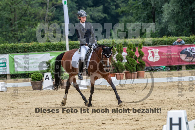 Goldene Schärpe 2021 - Ponys